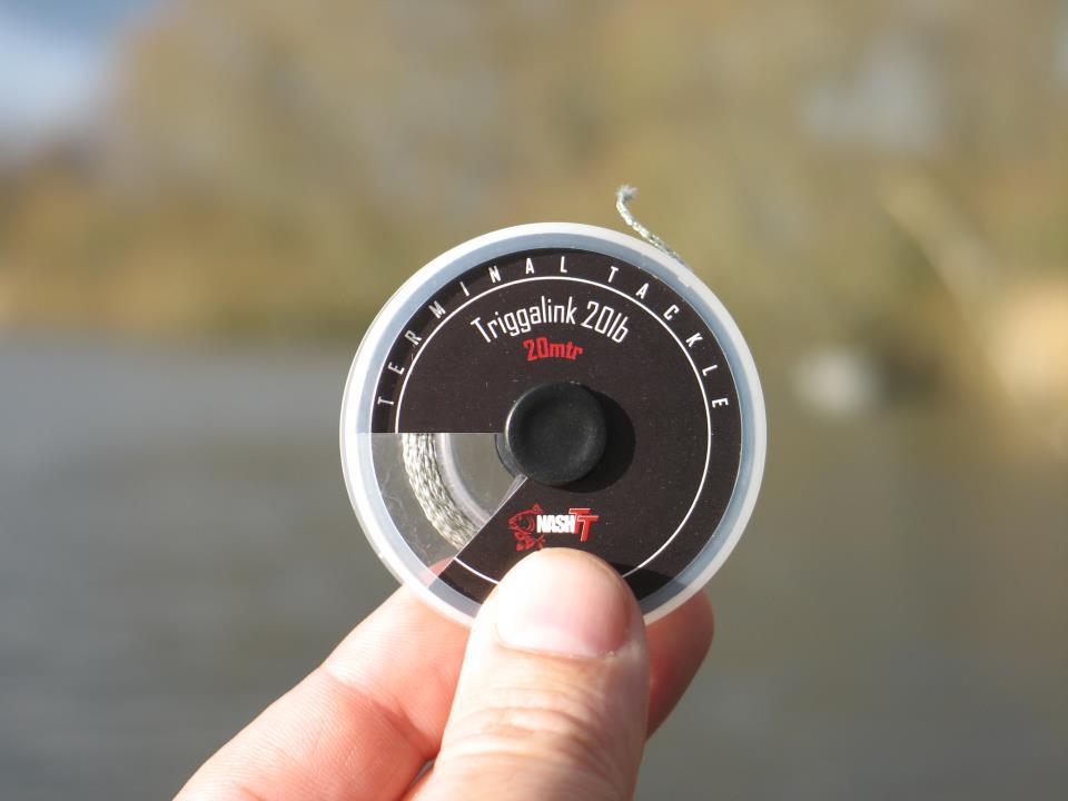 nash - 4080794920141650420962459777n.jpg